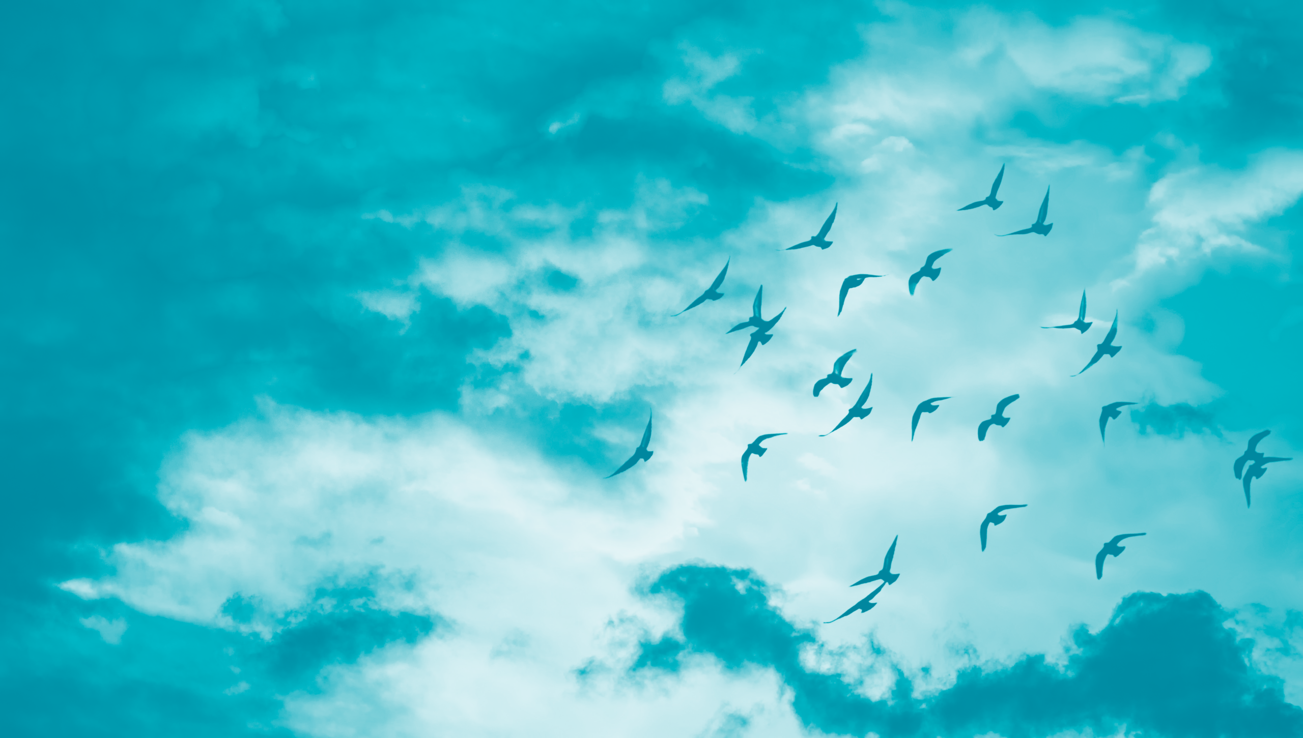 Francisco Gabriel Romero Cañizares